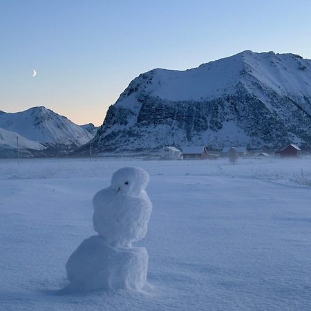 Unique Barnhouse In Amazing Gimsoy In Lofoten Saupstad  المظهر الخارجي الصورة
