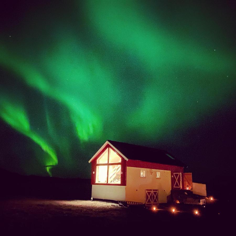 Unique Barnhouse In Amazing Gimsoy In Lofoten Saupstad  المظهر الخارجي الصورة